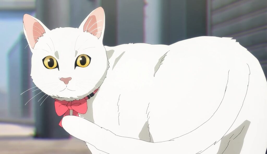 Risa wasn't that old woman's granddaughter but her pet cat!!